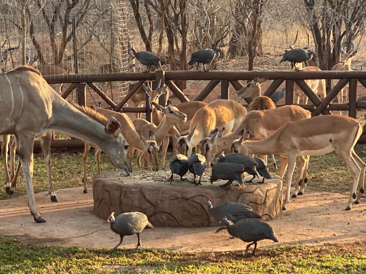 Genet House Holiday Home Marloth Park Dış mekan fotoğraf