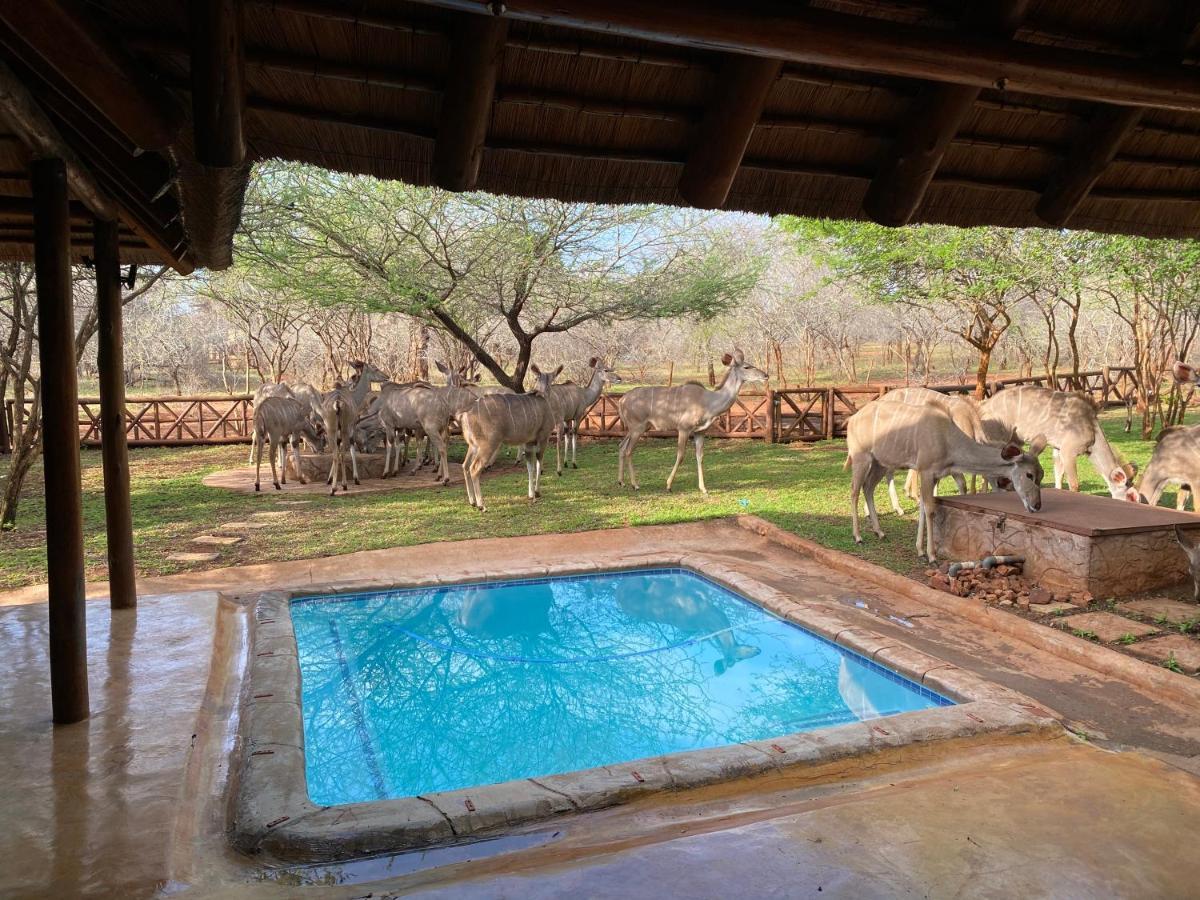 Genet House Holiday Home Marloth Park Dış mekan fotoğraf